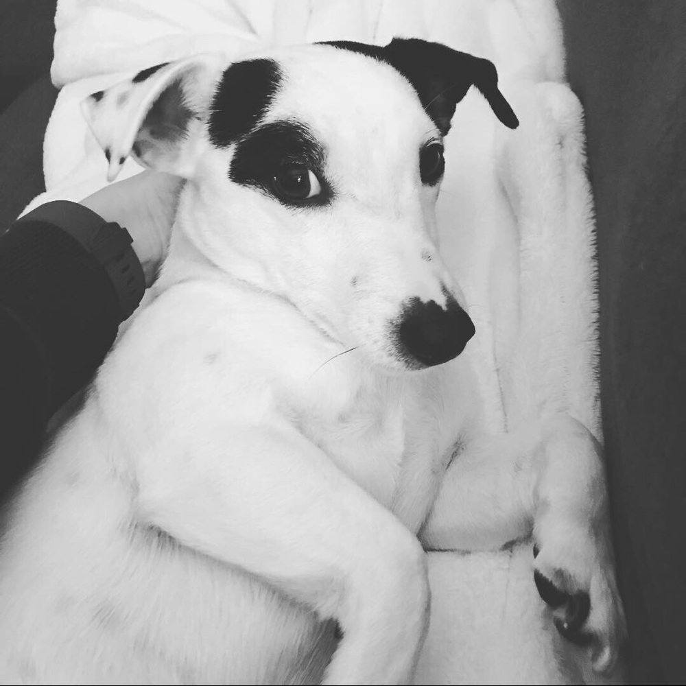 Meet your Posher, Gina